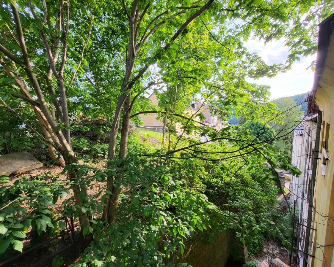 Excellent Apartments In Spa City Center 5 Min Walk From The Colonnade Karlovy Vary Ngoại thất bức ảnh