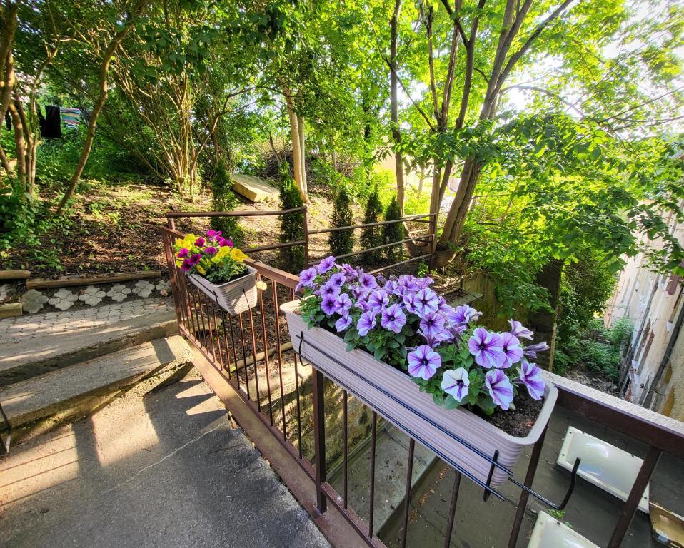 Excellent Apartments In Spa City Center 5 Min Walk From The Colonnade Karlovy Vary Ngoại thất bức ảnh