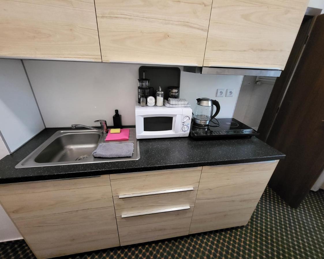 Excellent Apartments In Spa City Center 5 Min Walk From The Colonnade Karlovy Vary Ngoại thất bức ảnh